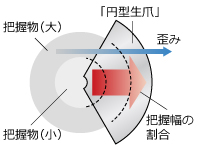 円型生爪